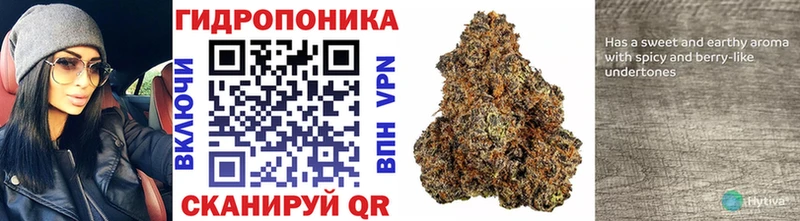 Где продают наркотики Кувандык Канабис 