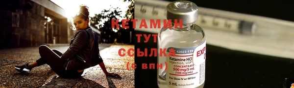 шишки Краснотурьинск