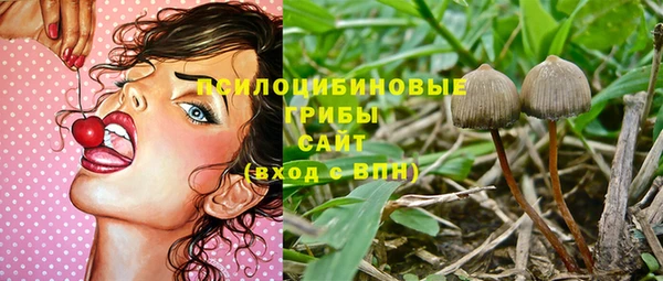 прущая мука Кулебаки