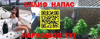 jwh Будённовск