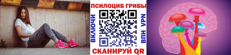 Псилоцибиновые грибы MAGIC MUSHROOMS  купить наркоту  Кувандык 