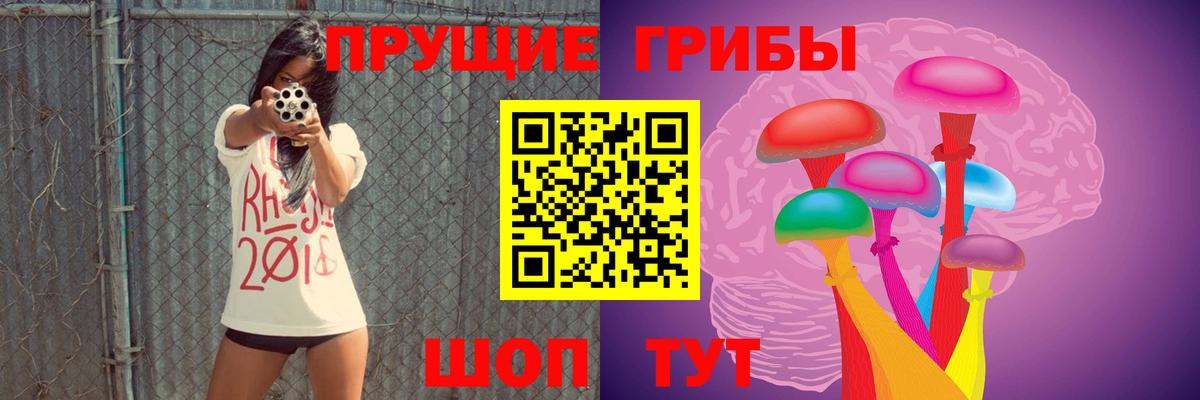 Галлюциногенные грибы ЛСД  Вход с VPN  Кувандык 
